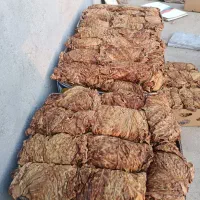 ت ن ب ا ک اصل بنیاد درجه یک برگ پلنگی. تند