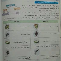 EQجامع نهم