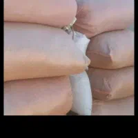 کاه گندم جابه