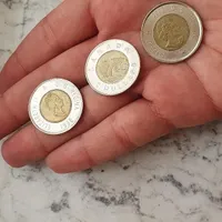 سه عدد سکه بای متال دو دلاری کانادا طرح خرسی|کلکسیون سکه، تمبر، اسکناس|تهران, یوسف‌آباد|دیوار