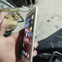 آیفون 7پلاس|موبایل|ارومیه, |دیوار