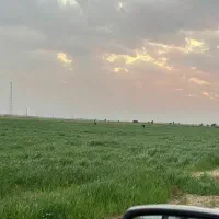 فروش ۴ هکتار زمین کشاورزی کانال