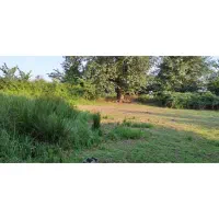 زمین به متراژ ۲۹۹۰ متر مربع