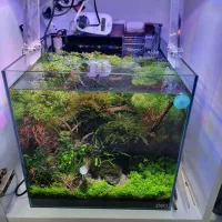 اکواریوم پلنت مجهز ۳۵در ۳۵