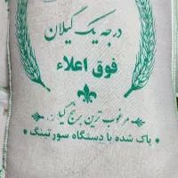 برنج هاشمی گیلان