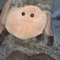 عروسک بزرگ|اسباببازی بچه|گرگان, |دیوار