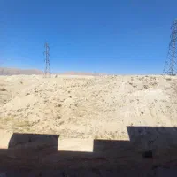 نیازمند همخانه