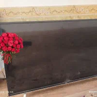 تلوزیون