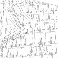 انجام کلیه امور نقشه برداری (GPS UTM)|خدمات پیشه و مهارت|دماوند, دماوند|دیوار