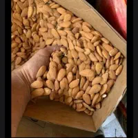 بادم درختی زرین و بادم هندی 240 و مبیز عمده