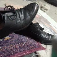 کفش شماره چهل چهار