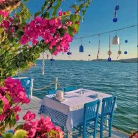 آفر ویژه تور ترکیبی کوش آداسی+ ازمیر|تور و چارتر|مشهد, سجاد شهر|دیوار