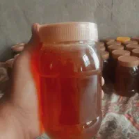 عسل کاملاً طبیعی ،گون و کنار  با برگ آزمایشگاه