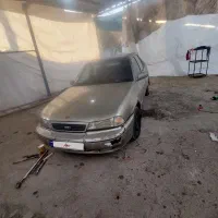 دوو سیلو مدل ۸۱