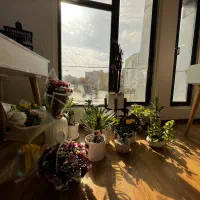 اجاره لاین و اتاق در سالن زیبایی