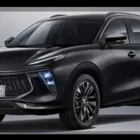 لاماری ایما خشک مشکی