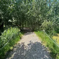 چالش جذاب سرمایه گذاری ،ویلا جنگلی خاص|فروش خانه و ویلا|سرپل ذهاب, |دیوار