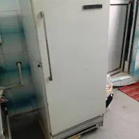 فروش یخچال معمولی ارج