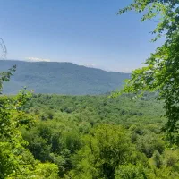 سفر و تفریح