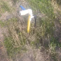 باغچه ویلایی جاده سلماس روستای شیخ سرمست ، قره لر