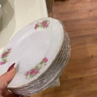 ظروف چینی گل سرخی