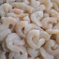 میگو کیلویی|ماهی|خرمشهر, |دیوار