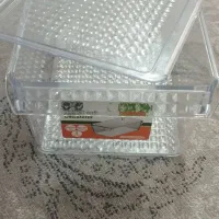 ظروف نظم دهنده یخچال