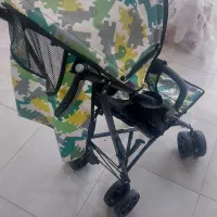 کالسکه عصایی دلیجان