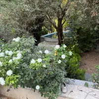 سوییت ویلایی دربست|اجارهٔ کوتاه‌مدت آپارتمان و سوئیت|هشتگرد, ینگی امام|دیوار