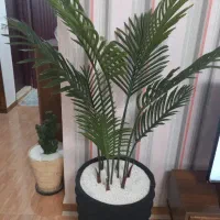 نخل مصنوعی خارجی