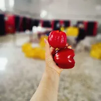فقط پرسنل خانم جهت تولید و بسته بندی|استخدام صنعتی، فنی، مهندسی|شاهین‌شهر, شهرک صنعتی|دیوار