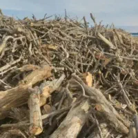 چوب|خدمات باغبانی و درختکاری|بیجار, |دیوار