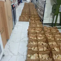 پخش جوجه یک روزه عمده+مشاوره رایگان پروش|حیوانات مزرعه|قم, علی آباد سعدگان|دیوار