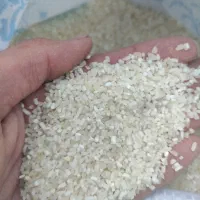 نیم دانه کامفیروزی|خوردنی و آشامیدنی|شیراز, ستارخان|دیوار