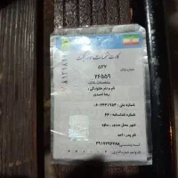 کیف مدارک گمشده