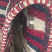 صنایع دستی قدیمی((هور|گلیم، جاجیم، گبه|شهرکرد, |دیوار