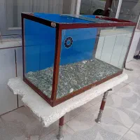 اکواریوم همراه باوسایل|ماهی|اصفهان, ملاصدرا|دیوار