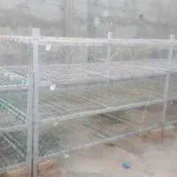 سه عدد قفسه پرورش قارچ قیمت ۱۸۸۰۰۰۰۰