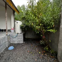 به قیمت زمین باغی /ویلای ساحلی بخر|فروش خانه و ویلا|چاف و چمخاله, |دیوار