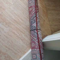 پادری|پادری|کرج, کرج نو|دیوار