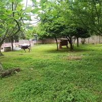 ویلا در جاده ماسوله