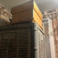 کندو|لوازم جانبی حیوانات|الوند, |دیوار