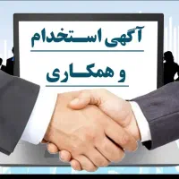 ویزیتور خانم