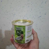سرلاک عروس هلندی