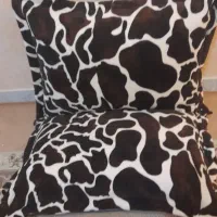 بالشتهای شیک وزیبادرطرح ورنگ مختلف