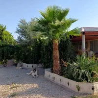 سرایدار جهت باغ باواحد مجزا