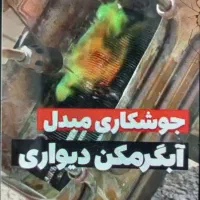 تعمیربخاری آبگرمکن پمپ آب اجاقگازشیشه بخاری|خدمات پیشه و مهارت|نیشابور, محله میدان باغات|دیوار