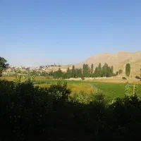 فروش فوری باغ ۱۳۷۸ متری در قلب منطقه فیروزکوه|فروش دفتر صنعتی، کشاورزی، تجاری|فیروزکوه, |دیوار