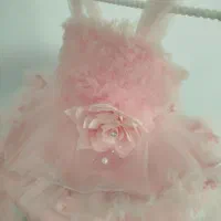 لباس پرنسسی|کفش و لباس بچه|کرج, حصارک پایین|دیوار