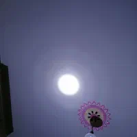 چراغ پیشانی خیلی قوی|کوهنوردی و کمپینگ|مرند, |دیوار